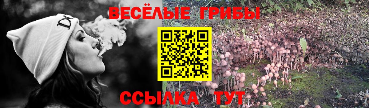 Псилоцибиновые грибы MAGIC MUSHROOMS Пенза