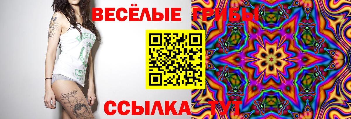 Галлюциногенные грибы Psilocybine cubensis  Галлюциногенные грибы мухоморы  Вход с VPN  Пенза 