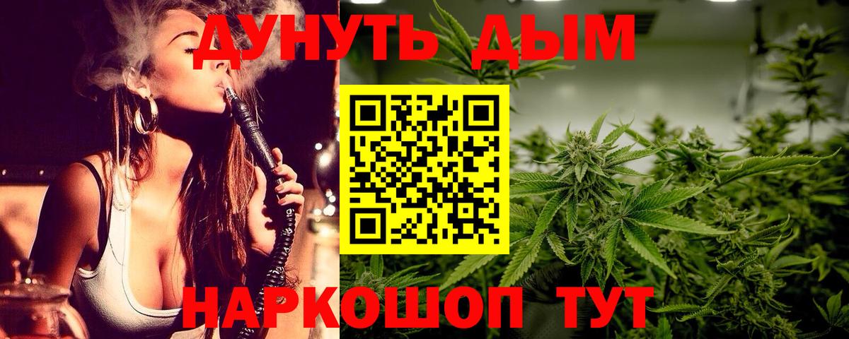 Пенза  Марихуана план  Канабис THC 21%  Вход с VPN 